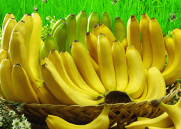 bienfait-de-la-banane