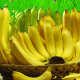 bienfait-de-la-banane