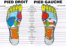 points-de-réflexologie