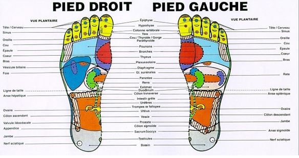 points-de-réflexologie