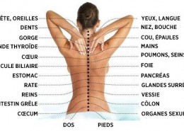 la-vraie-cause-de-la-douleur-voici-comment-la-colonne-vertebrale-est-connectee-aux-organes-internes