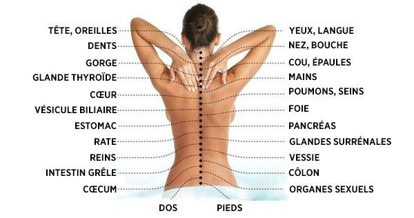 la-vraie-cause-de-la-douleur-voici-comment-la-colonne-vertebrale-est-connectee-aux-organes-internes